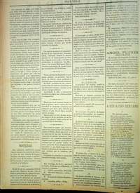 Página 593
