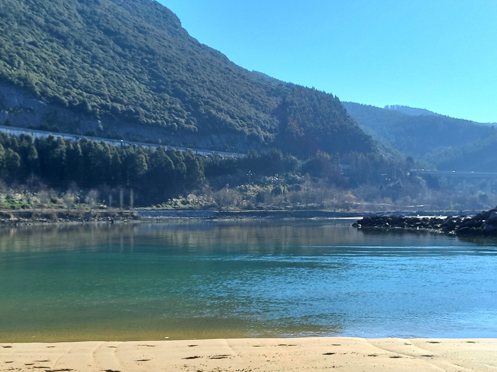 Actuaciones de Diagnóstico, Recuperación y Conservación del Sistema Dunar de la Playa de Oriñón y de las Praderas de Zostera nolti del ZEC del Río Agüera