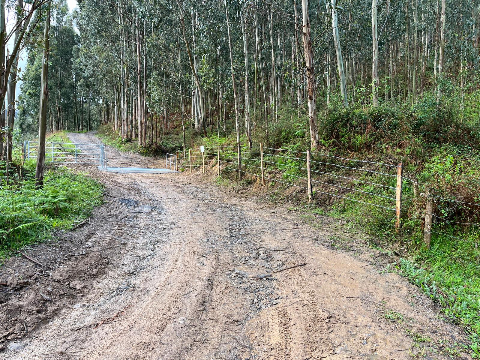La Junta Vecinal de Sámano recibió 12.051,60 euros para la construcción de dos abrevaderos y una barrera canadiense