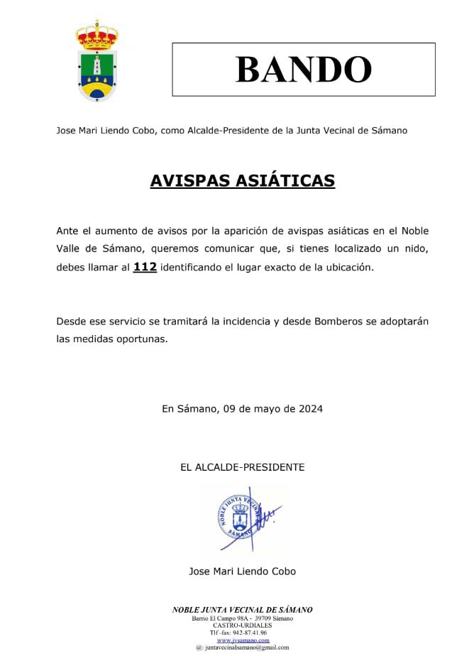 Bando Avispas Asiáticas