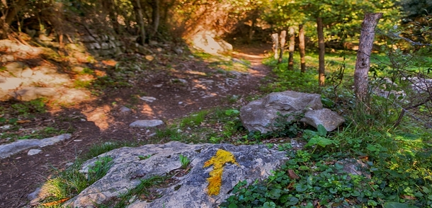 Camino de Santiago del Norte