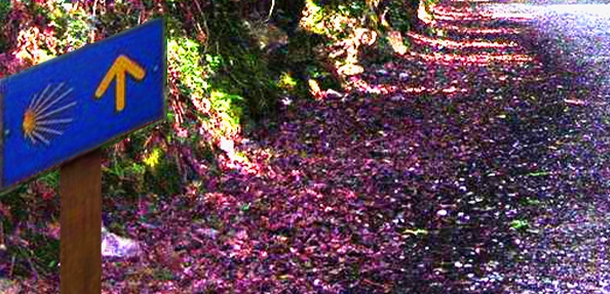 Camino de Santiago