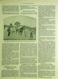 Página 325