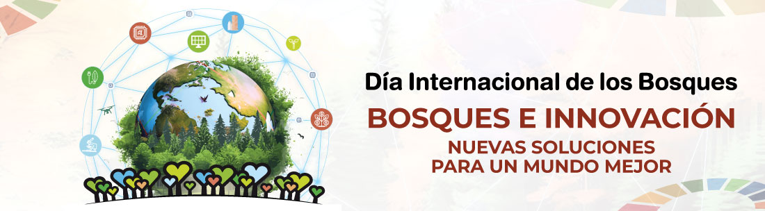 Celebración del Día Internacional de Los Bosques en Castro-Urdiales