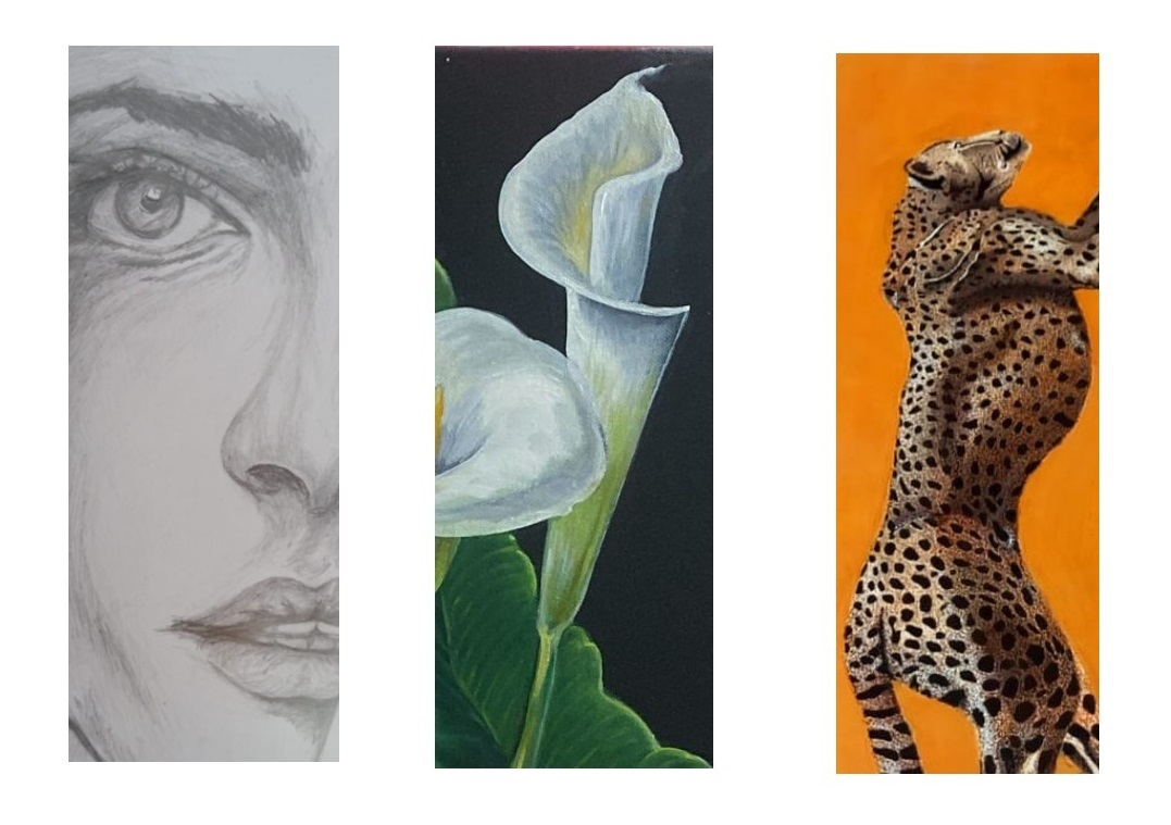 Exposición "Tres miradas, tres mundos" de ACAPI