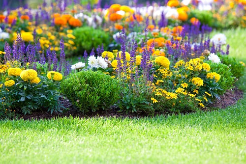 Proliferan los robos de plantas y flores en los jardines y plazas municipales de Castro-Urdiales