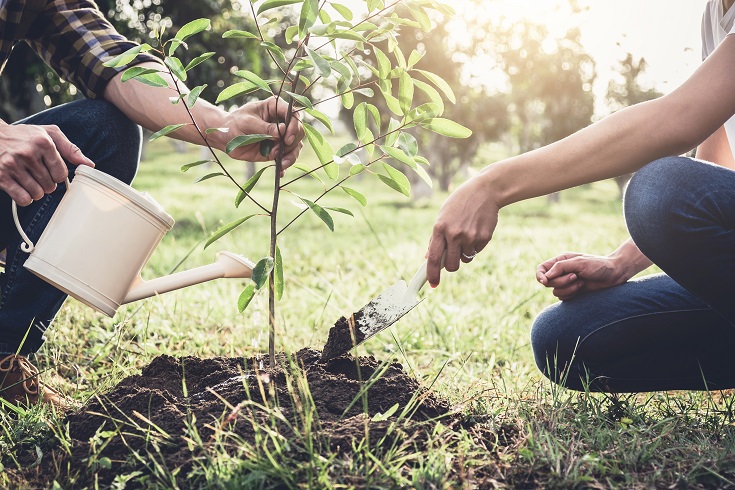 Ven a la Casa de la Naturaleza a recoger tu Árbol